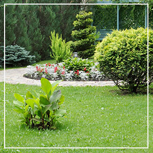 Landscaping Services